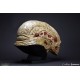 Alien Resurrection Replica 1/1 Alien Newborn Head 51 cm